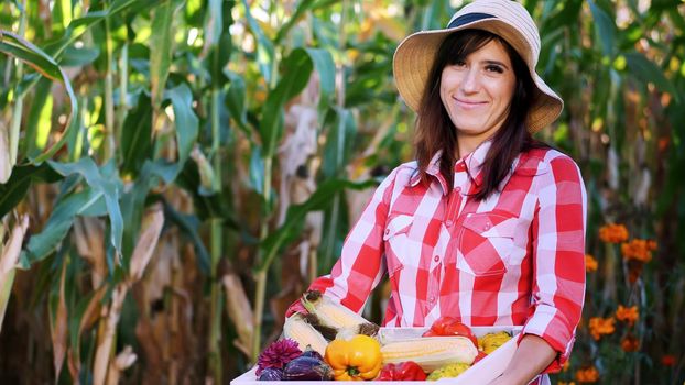 smiling female farmer in plaid shirt, gloves and hat holds a box with different fresh vegetables, harvest. background of cornfield, on a farm, vegetable garden, sunny summer day. High quality photo