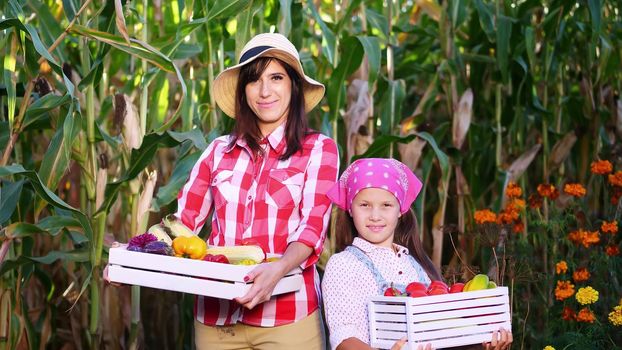 portrait of smiling farmers family , mother and daughter holding wooden boxes with different fresh vegetables, harvest on farm, sunny summer day. background of cornfield,. High quality photo