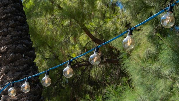 Garland of light bulbs on wood, decorative lighting in nature. High quality photo