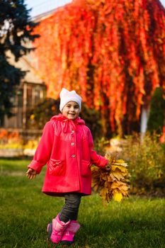 adorable little girl with autumn leaves in the beauty park