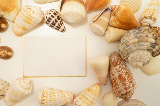Scattered seashell (with text space). Shooting Location: Kamakura City, Kanagawa Prefecture