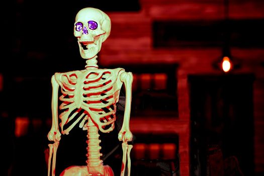 the night of October 31, the eve of All Saints' Day, commonly celebrated by children who dress in costume and go door asking for candy. Light white scarlet poisonous halloween skeleton on black red