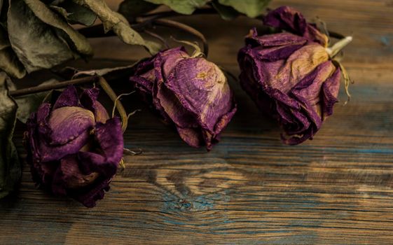 Pile of pink dried roses on old rustic wooden background as border.