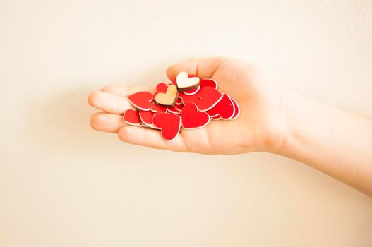 hands hold a many red hearts on white background