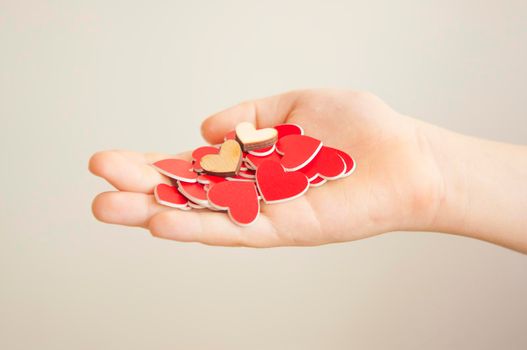 hands hold a many red hearts on white background