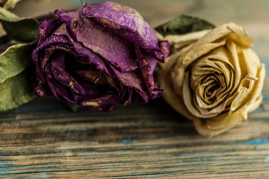 Pile of pink dried roses on old rustic wooden background as border.