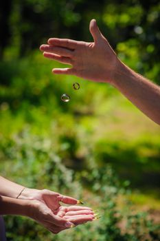 Wedding Gold Rings Fall From The Hands Of The Groom Into The Hands Of The Bride. Bride And Groom's Hands With Wedding Rings.