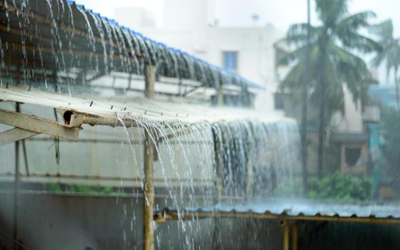 Rain on a Tin Roof. Rain Falling from the Roof. Rainy day nature background. Selective Focus on Foreground