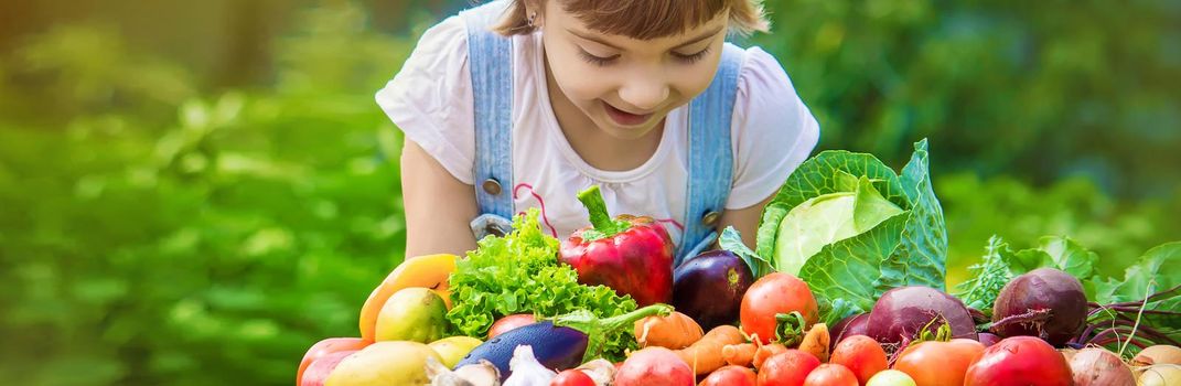 Child and vegetables on the farm. Selective focus. nature.