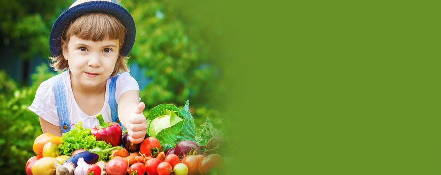 Child and vegetables on the farm. Selective focus. nature.