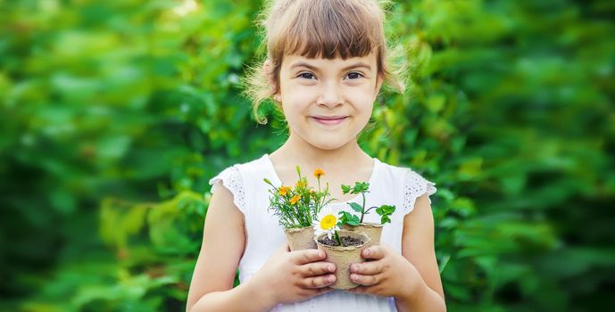 A little girl is planting flowers. The young gardener. Selective focus.