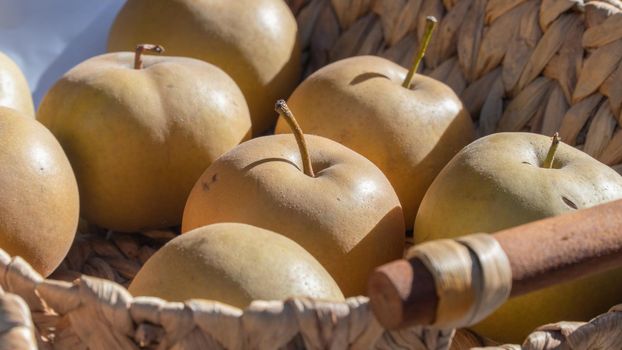 Yellow apples in a braided basket close-up, fruit background. High quality photo