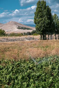 Automatic Sprinkler irrigation system watering in the vegetable farm. Selective focus and motion blur