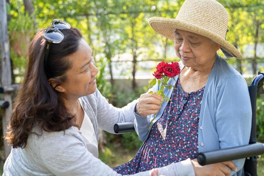 Caregiver daughter hug and help Asian senior or elderly old lady woman holding red rose on wheelchair in park.