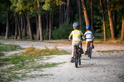 Family in the park on bicycles. two sibling brothers kids boys compete in riding. view from back.