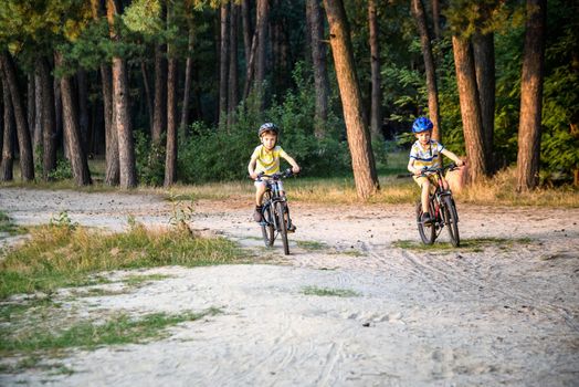 Two active little sibling boys having fun on bikes in forest on warm day. Healthy leisure with children concept.