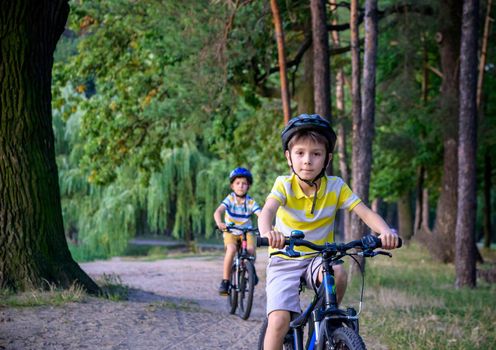 Two little kid boys in colorful casual clothes in summer forest park driving bicycle. Active children cycling on sunny fall day in nature. Safety, sports, leisure with kids concept.