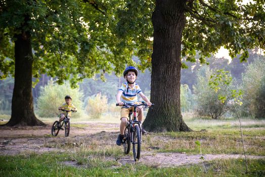 Two little kid boys in colorful casual clothes in summer forest park driving bicycle. Active children cycling on sunny fall day in nature. Safety, sports, leisure with kids concept.