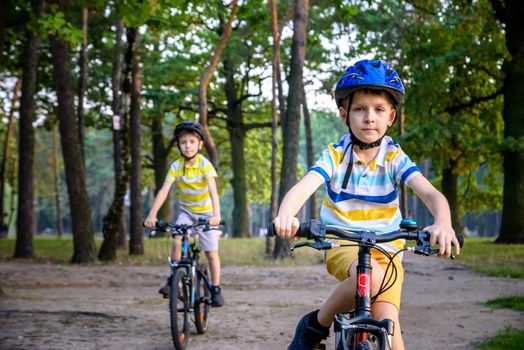 Two little kid boys in colorful casual clothes in summer forest park driving bicycle. Active children cycling on sunny fall day in nature. Safety, sports, leisure with kids concept.