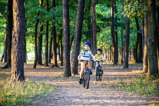 Two little boys children having fun on Balance Bike on a country road. Healthy lifestyle concept