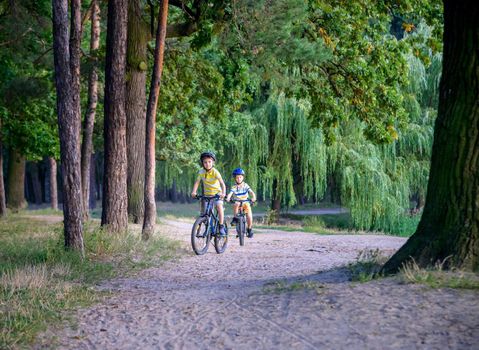 Two little kid boys in colorful casual clothes in summer forest park driving bicycle. Active children cycling on sunny fall day in nature. Safety, sports, leisure with kids concept.