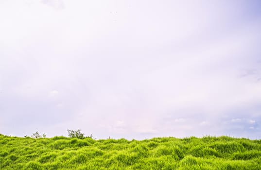 Meadow field hill with white clouds and blue sky, A beautiful summer landscape