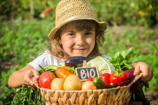 Child and vegetables on the farm. Selective focus. nature.