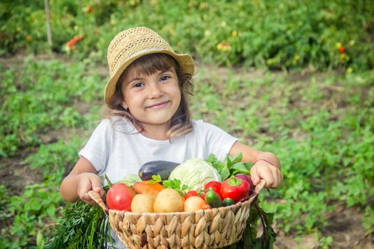 Child and vegetables on the farm. Selective focus. nature.