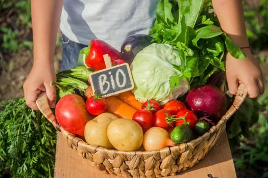 Child and vegetables on the farm. Selective focus. nature.