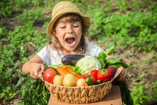 Child and vegetables on the farm. Selective focus. nature.