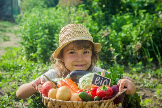 Child and vegetables on the farm. Selective focus. nature.