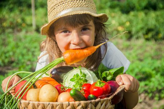 Child and vegetables on the farm. Selective focus. nature.