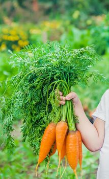 Child and vegetables on the farm. Selective focus. nature.