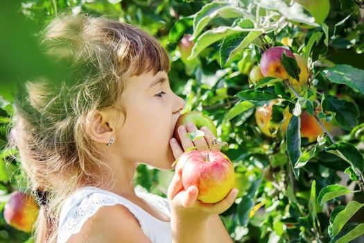 Child with an apple. Selective focus. Garden Food