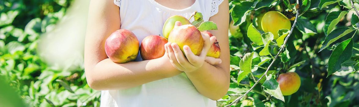 Child with Child with an apple. Selective focus. Garden Food