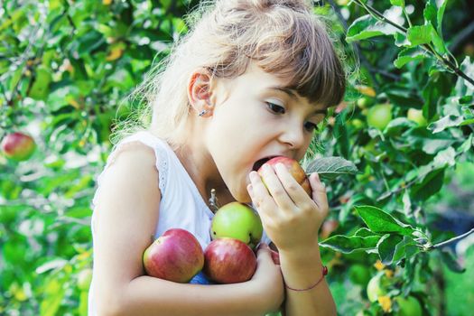 Child with apples in the summer garden. Selective focus. People.