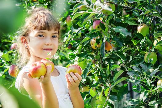 Child with an apple. Selective focus. Garden Food