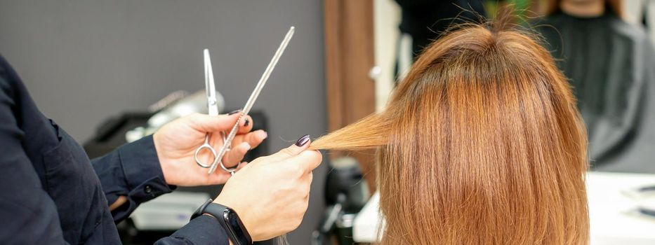 Red-haired woman sitting a front of the mirror and receiving haircut her red long hair by a female hairdresser in a hair salon, back view