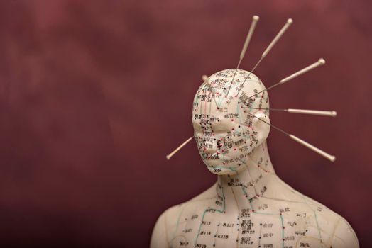 Mannequin with acupuncture points and meridians