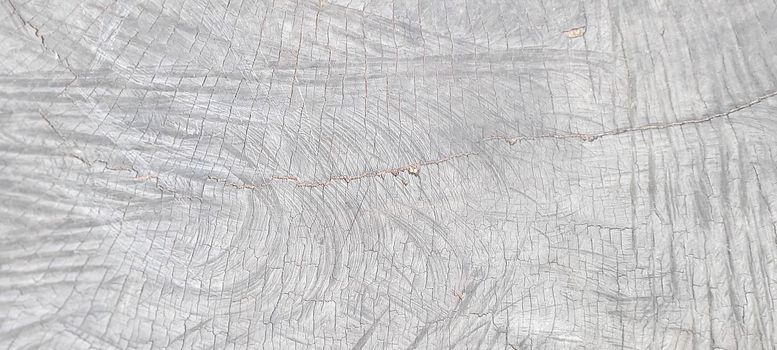 tree trunk with dark texture and abstract lines, from cut wood