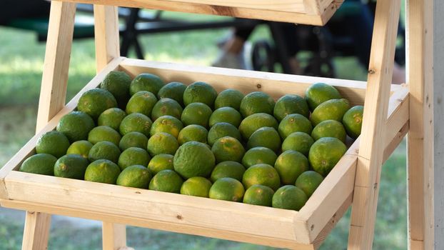 Limes in a wooden box, autumn harvest. High quality photo