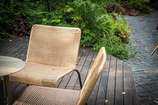 woven chair furniture in Green nature of Fern and trees in tropical garden