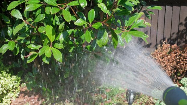 Funny little boy watering lawn plants in garden housing backyard. Adorable child playing with irrigation hose at hot sunny summer outdoors. Children help with housework. activity for kids. Childhood.