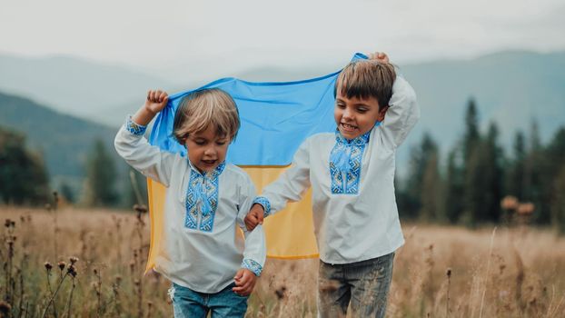 Happy glad boys - Ukrainian patriots children jumping, rejoyces with national flag on meadow of Carpathian mountain. Ukraine, family, brothers twins, best friends, peace, freedom, win in war. quality