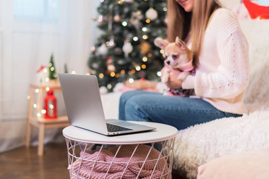 Merry Christmas and happy new year. Woman and puppy dog in sweater having a video chat on laptop, enjoy winter holidays time at home with Christmas tree, decor and lights. Online greeting.