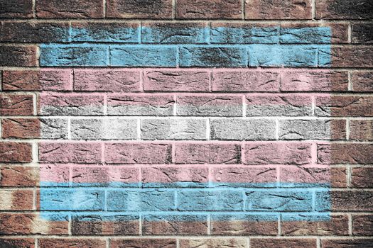 A Transgender Pride Flag on a brick wall background blue white pink stripes