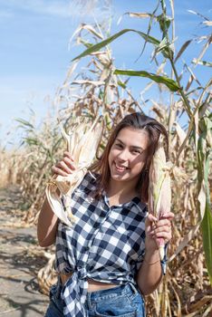 agriculture and cultivation concept. Countryside.portrait of funny female woman in corn crop holding cobs making funny faces
