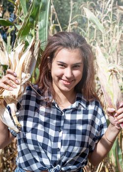 agriculture and cultivation concept. Countryside.portrait of funny female woman in corn crop holding cobs making funny faces