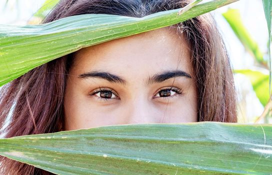 agriculture and cultivation concept. Countryside. closeup shot of caucasian woman covering face with corn leaves
