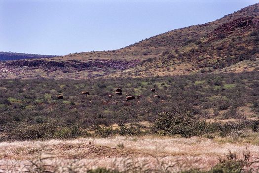panoramic view of the kunene or kaokoland region